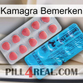 Kamagra Notice new14